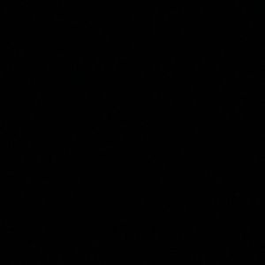 Meet your Posher, Bailey